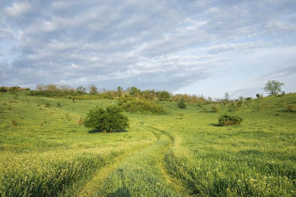 Découvrez les destinations de croisières incontournables !