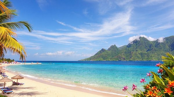 Découvrez le tourisme en République Dominicaine : un paradis à explorer